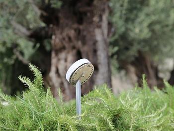 OLIVA UP ландшафтный светильник для подсветки деревьев и других объектов